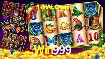 Sistemas de Segurança Win999