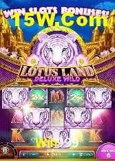 Benefícios da Conta Win999