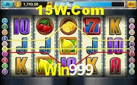 Experiência VIP Win999